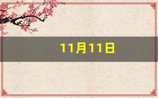 11月11日(11月11日英文)