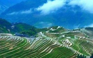 5月1(5月1日是什么星座的人)