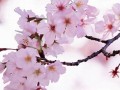 3月27(3月27日生日是什么星座)