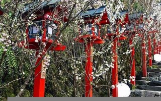 4月5日(2006年4月5日)