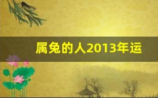 属兔的人2013年运程大全及破解(属兔的2013年运势)