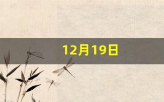 12月19日(1997年12月19日)