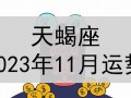 天蝎座11月运势(天蝎座11月运势感情)