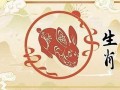 属兔2023年的运势及运程(属兔2023年的运势及运程1975女)