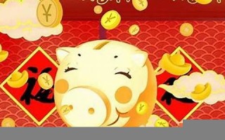 属猪人2013年运势(猪2013年运势完整版)