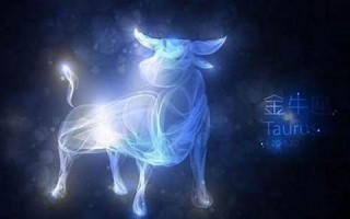 金牛座的爱情观(金牛座的爱情观是怎样的)