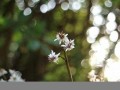 2016年9月19日(2016年9月19日出生是什么星座)