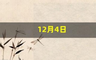 12月4日(12月4日是什么星座的)