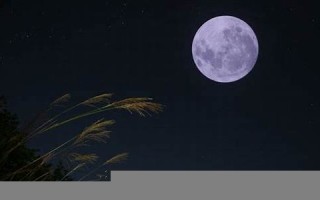 10月28(10月28日是什么星座)