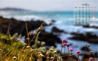 2013年10月10日黄历(2013年10月12日黄历)