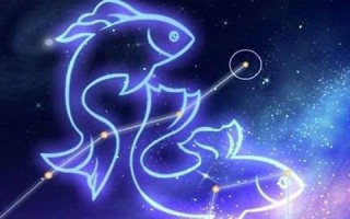 双鱼座运势(双鱼座)