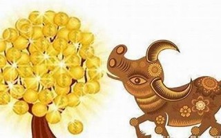 属牛人的婚姻与命运(属牛人的婚姻与命运相配吗)
