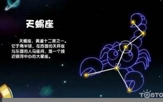 射手座男生的性格(射手座男生的性格和特征)