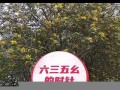 3月4号(3月4号是什么日子)