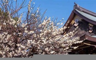 2月8日(2月8日什么星座)