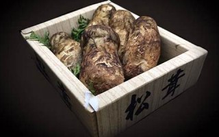 7月28日(7月28日英语)