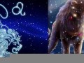 狮子座是几月到几月几日日(狮子座是几月到几月几日日出时间)